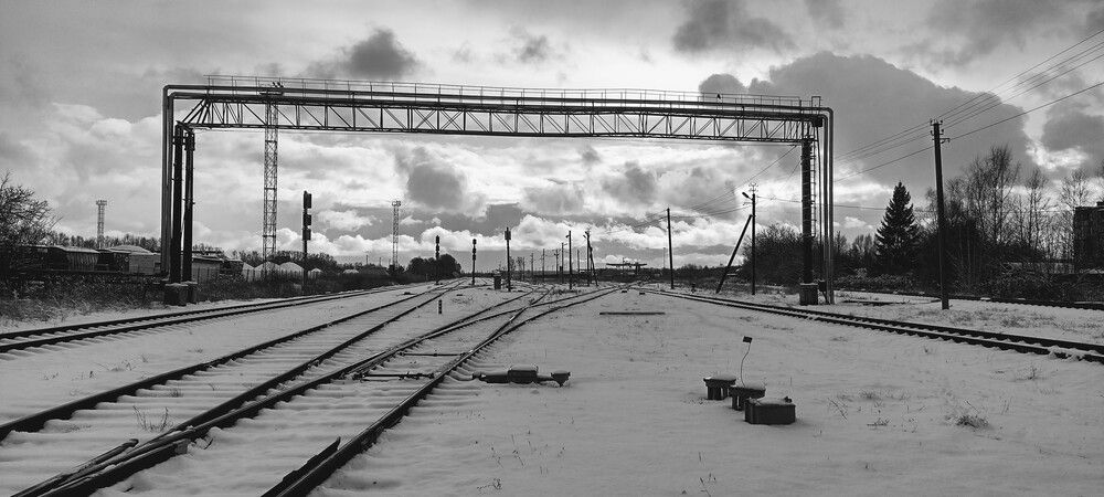 Photo #12542195