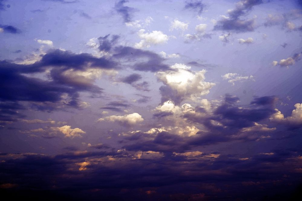 Photograph by Елена Суворова