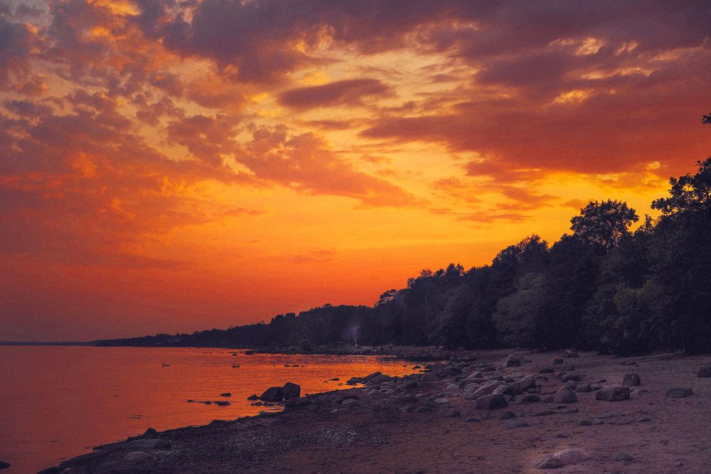 Photograph by Елена Суворова