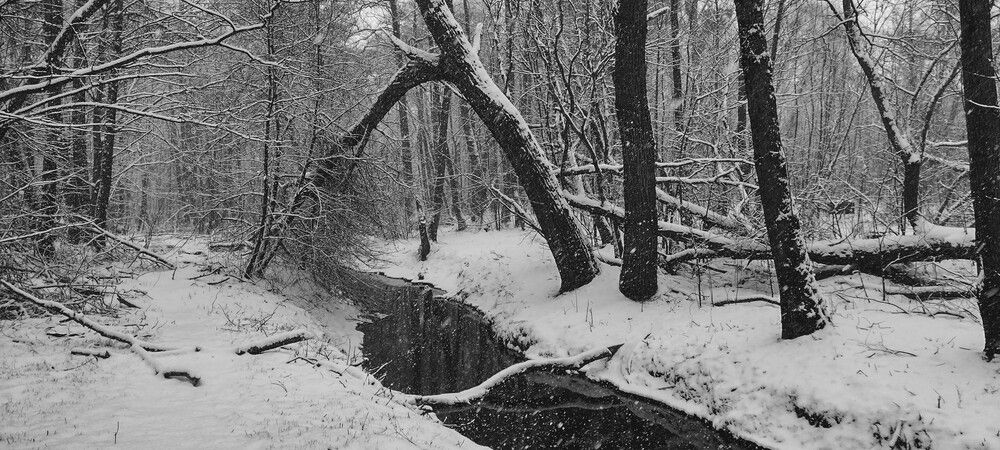 Photo #12542200