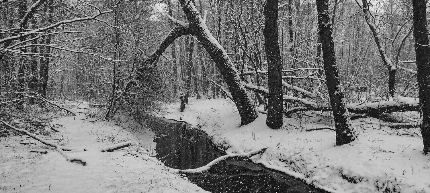 Photo #12542200
