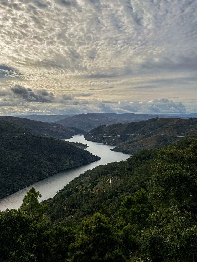 Фотография автора Лариса Гришкевич