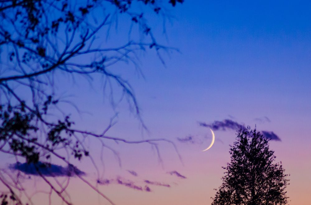 Photograph by Ольга Заповедная