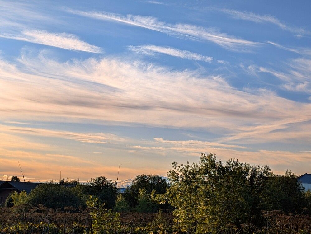 Фотография автора Анастасия Логинова