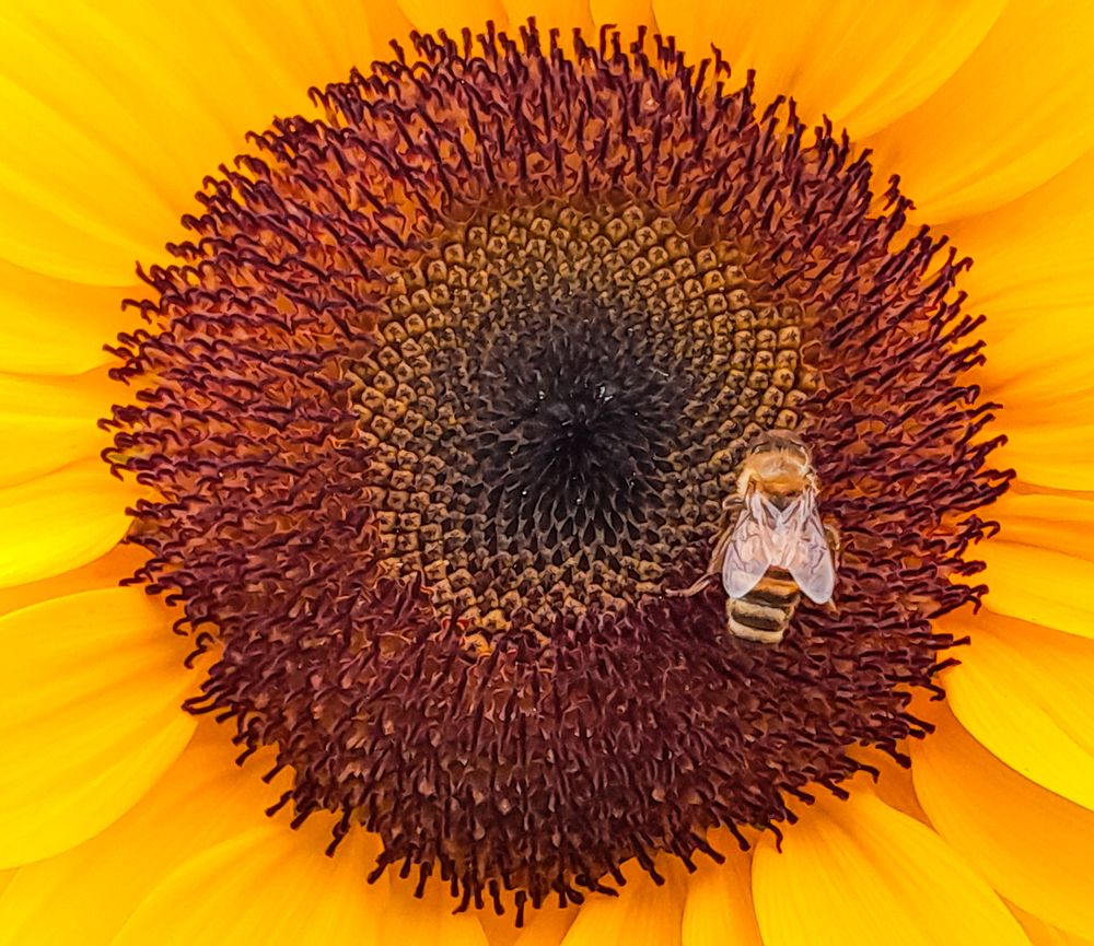 Photograph by MARK ANTHONY SANTOS