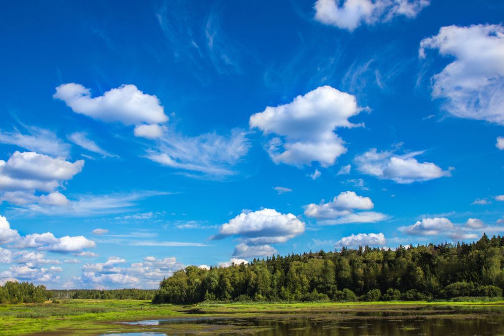 Photograph by Владимир Безбородов