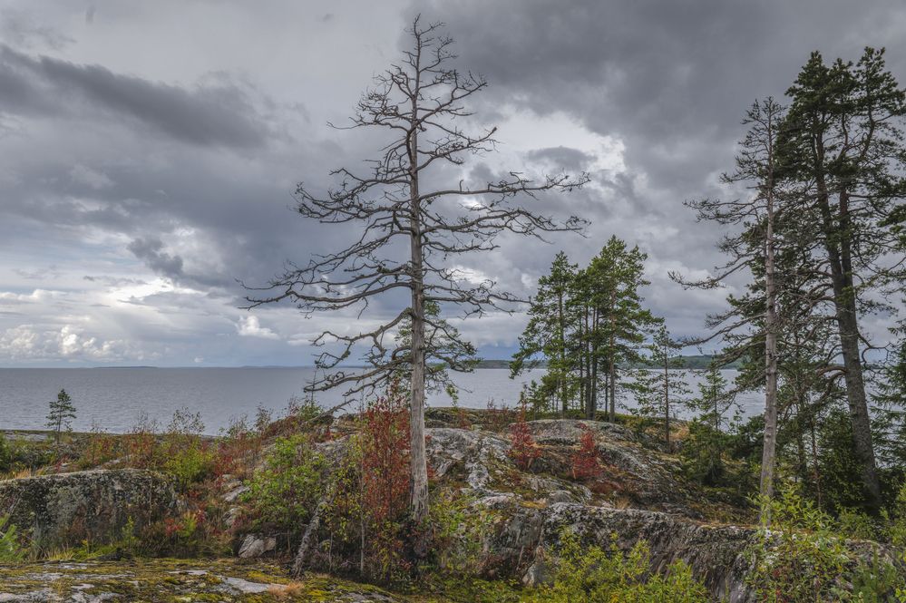 Photograph by Александр Журавлев
