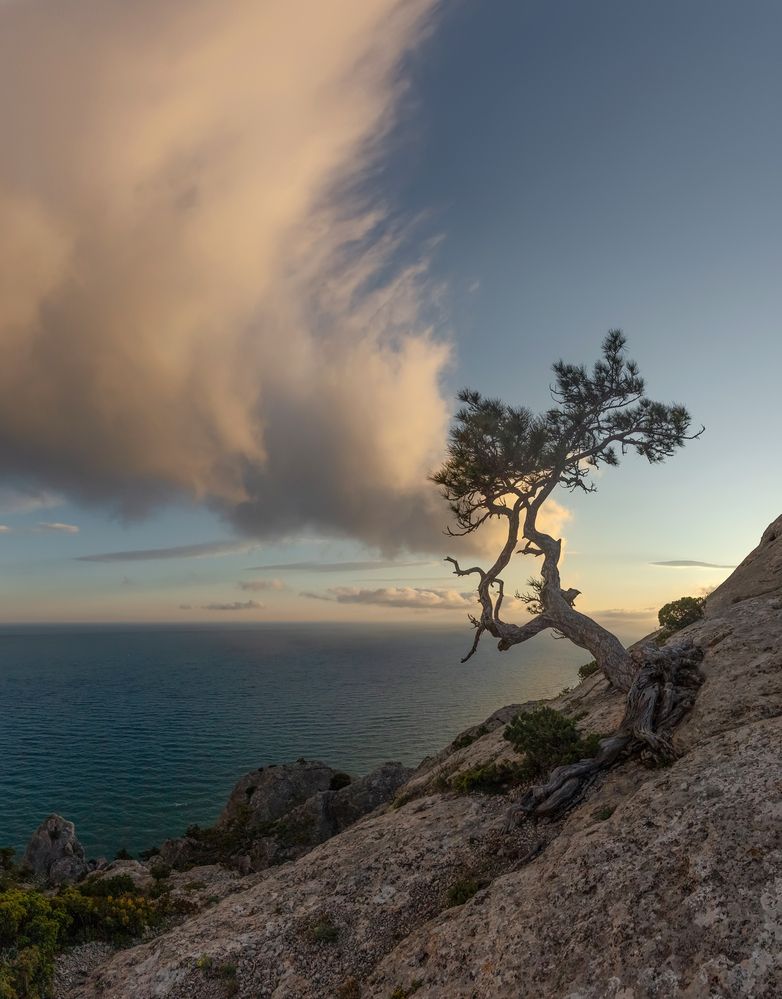 Photograph by Щепотина Татьяна