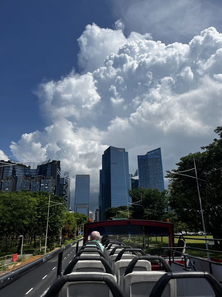 Фотография автора SHREYA SHUKLA