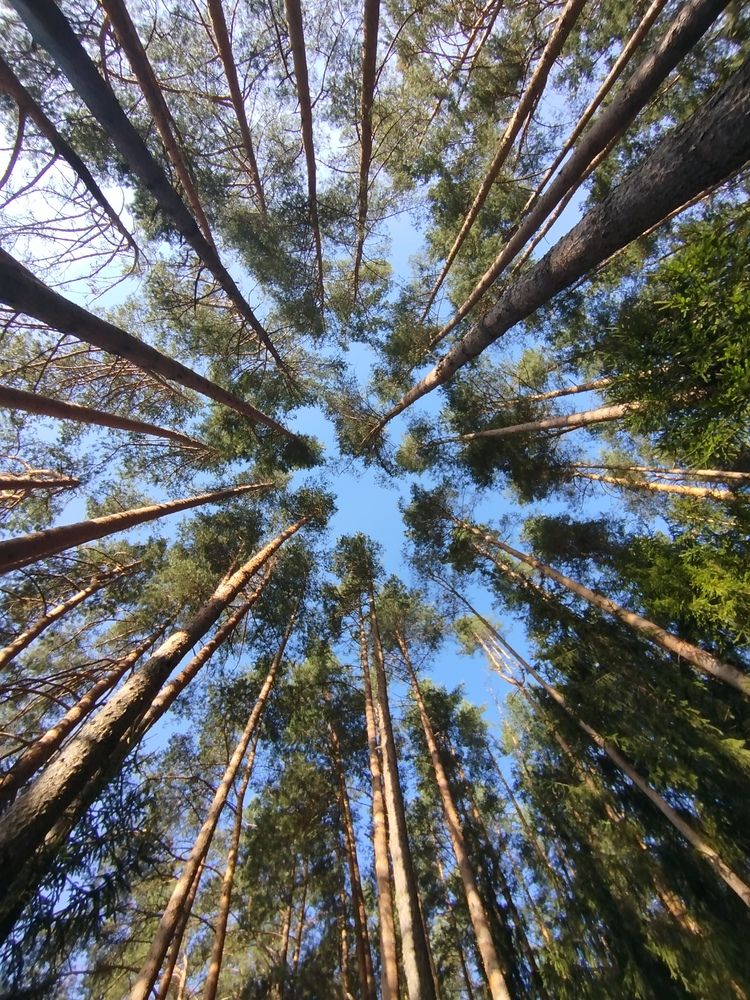 Photograph by Евгения Семёнова