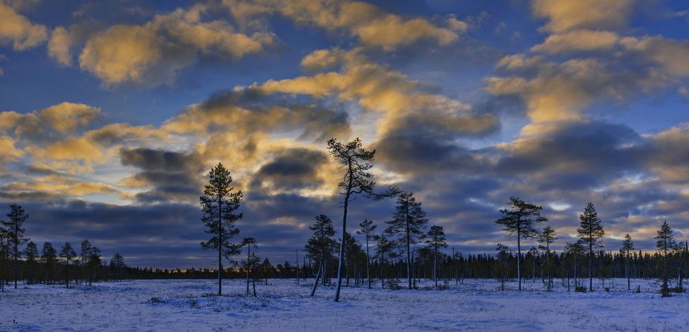 Photograph by Игорь Щербаков