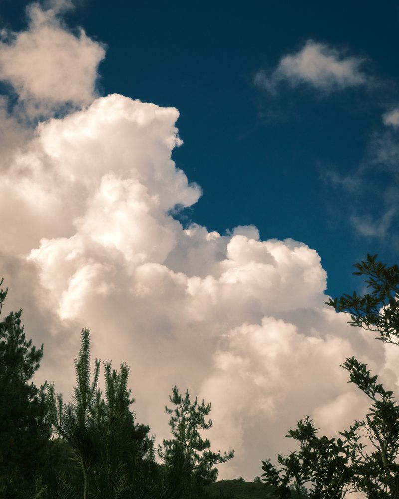 Фотография автора Gustavo Orellana