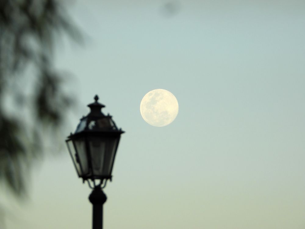 Фотография автора Camilo Martinez