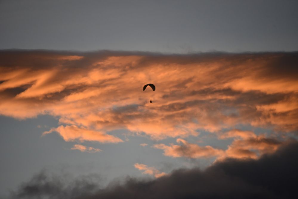 Фотография автора Camilo Martinez