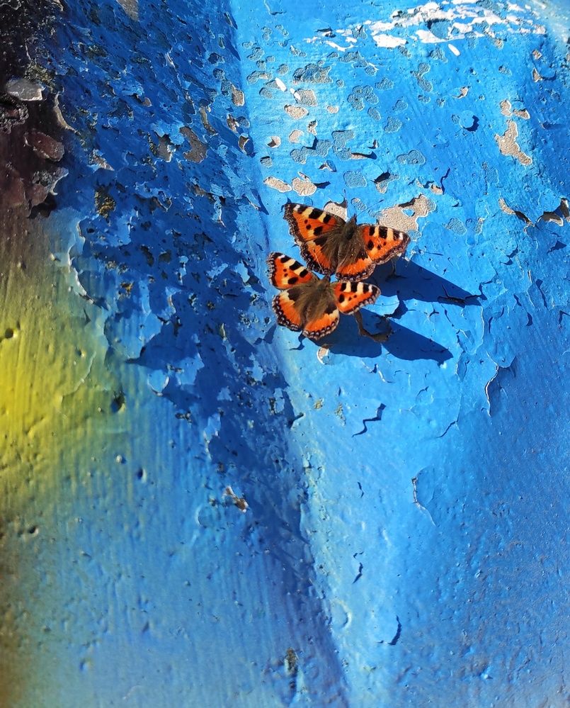 Photograph by Елена Гостева