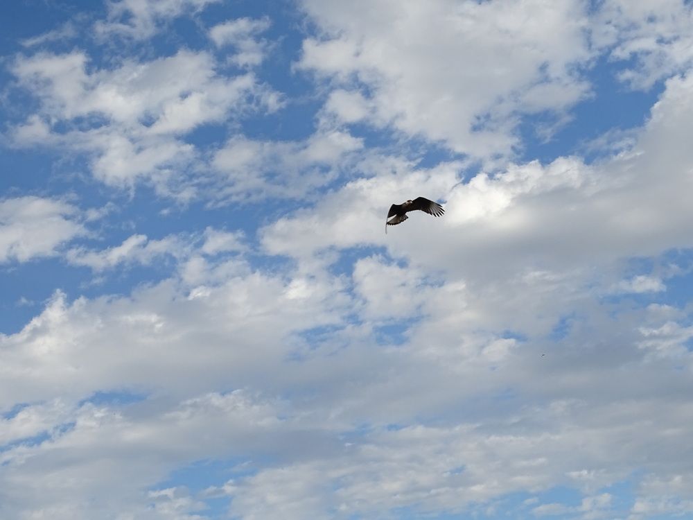 Photograph by María Laura Giorda