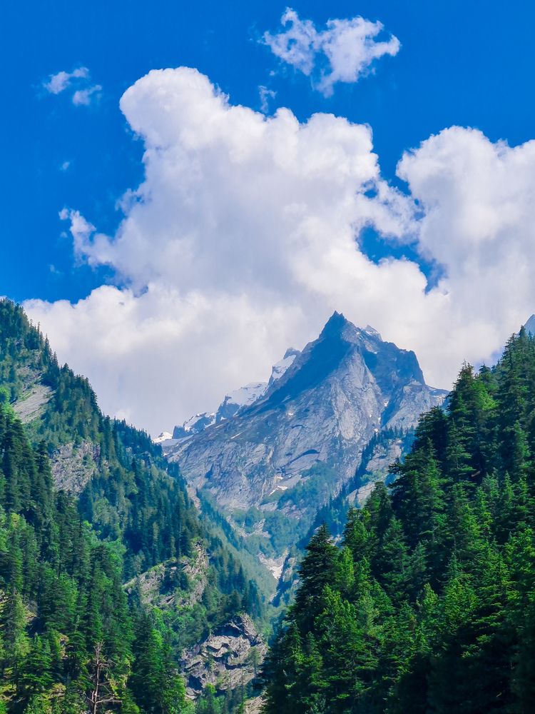 Фотография автора Dhruv Jangid