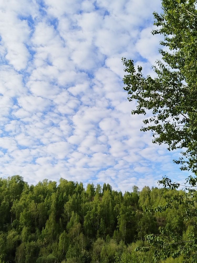Photograph by Инна Щербакова
