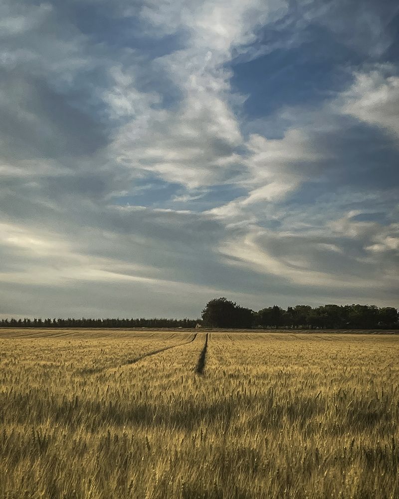 Фотография автора Ольга Каминская