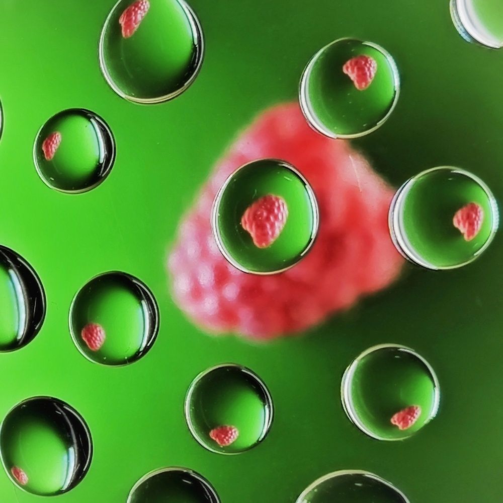 Photograph by Елена