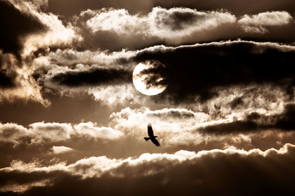 Photograph by Александра Гревцева