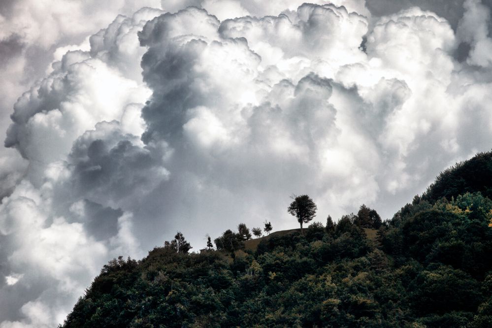 Photograph by Александра Гревцева