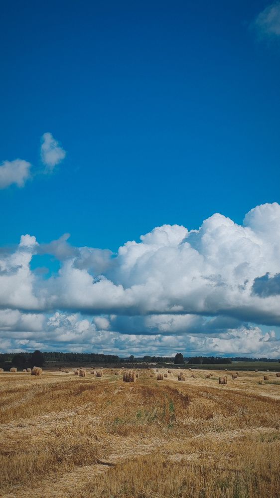 Photograph by Наталья Клячина