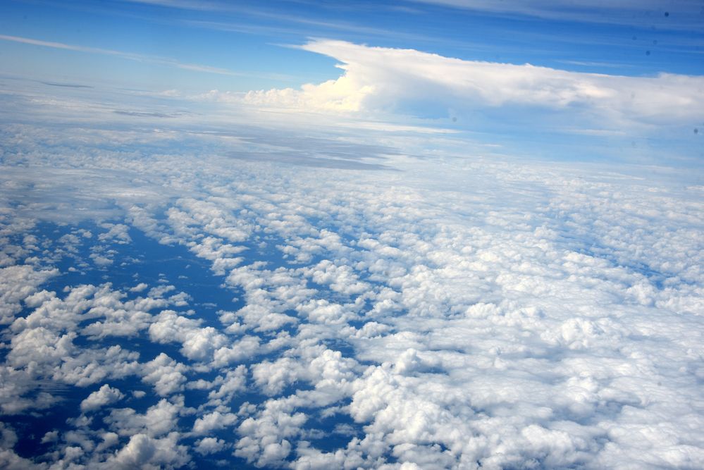 Фотография автора Camilo Martinez