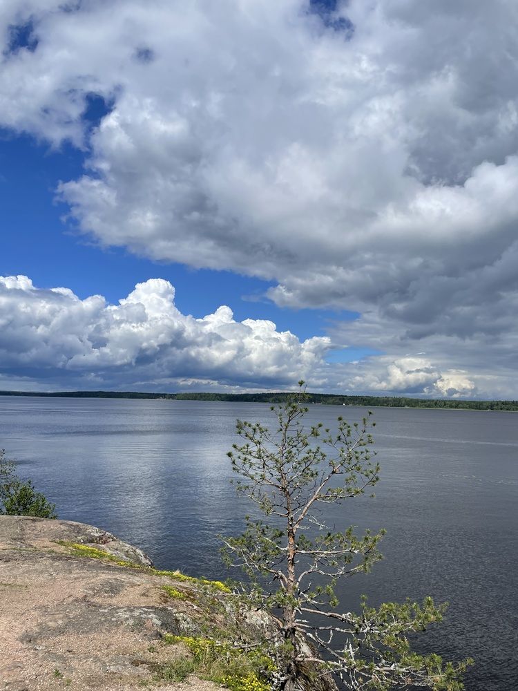 Фотография автора Анна Беднякова