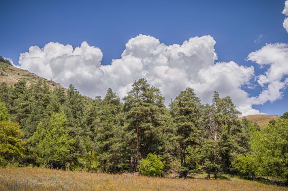 Photograph by Иван Достовалов