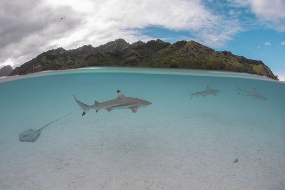 Фотография автора Fabi Fregonesi