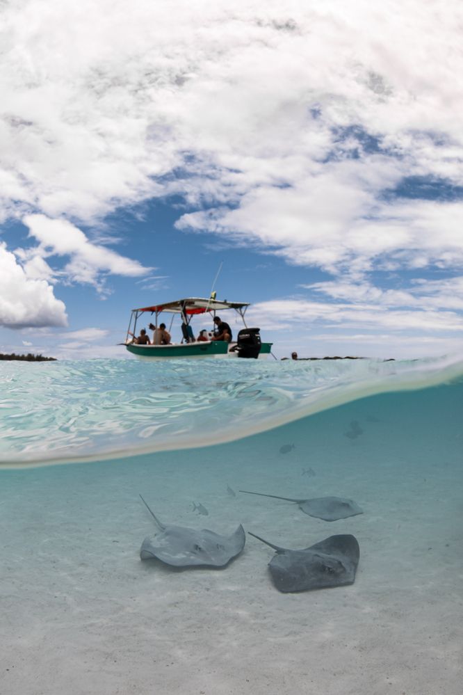 Фотография автора Fabi Fregonesi