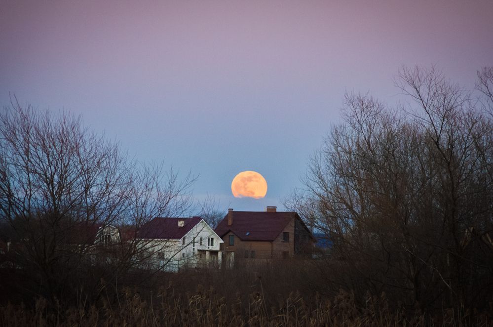 Photograph by Иван Достовалов