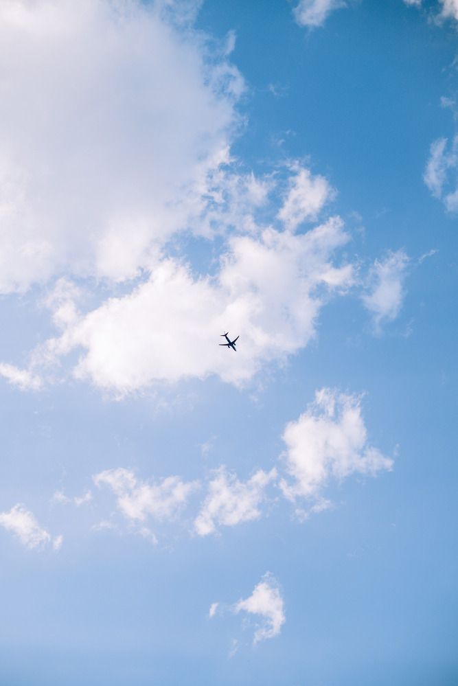 Photograph by Елена Михайловна