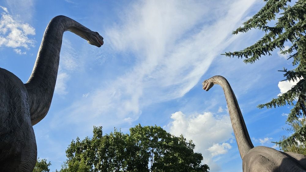 Photograph by Анастасия Свиридова