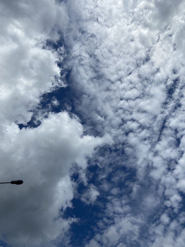 Photograph by Светлана