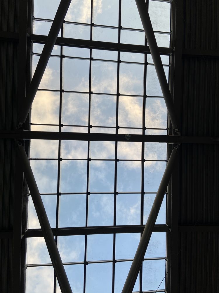 Photograph by Светлана