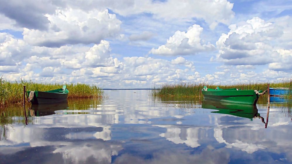 Photograph by Алена