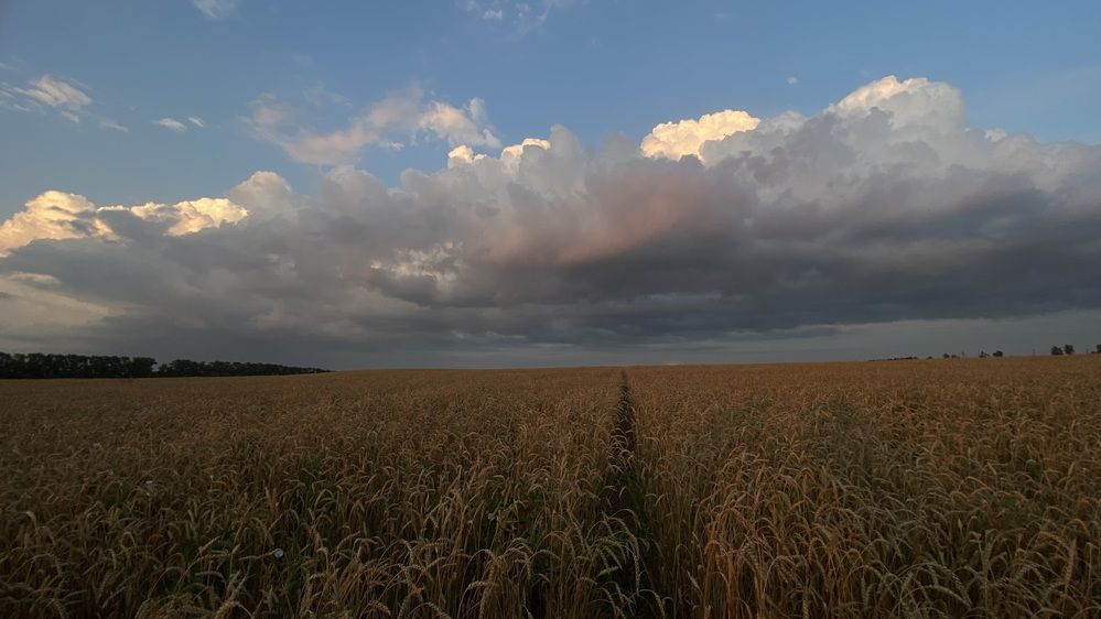 Photograph by Наталья Богаткина