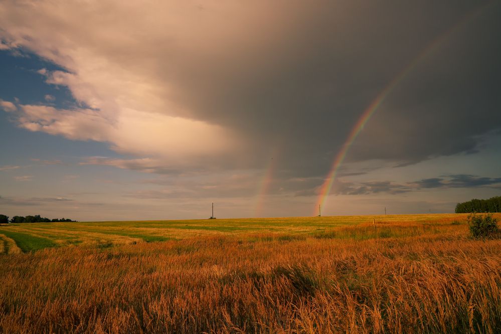 Photograph by Алексей Голубев