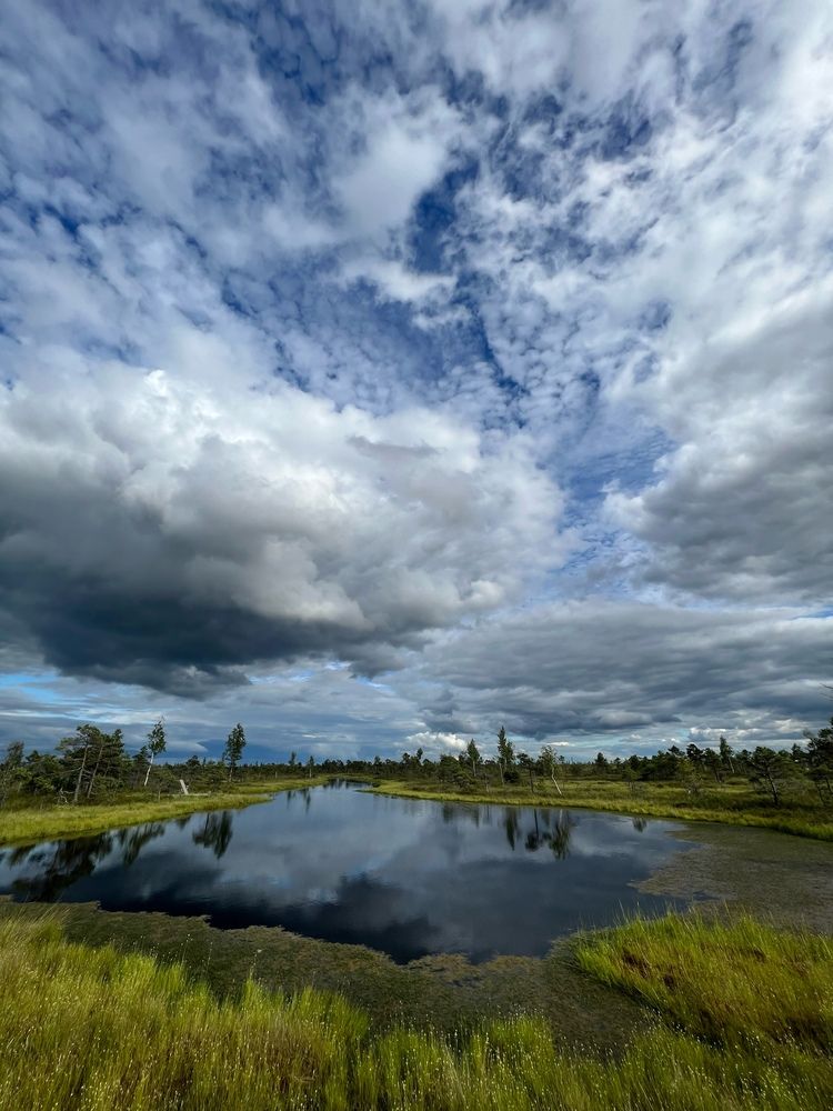 Photograph by Viktorija Bočarova