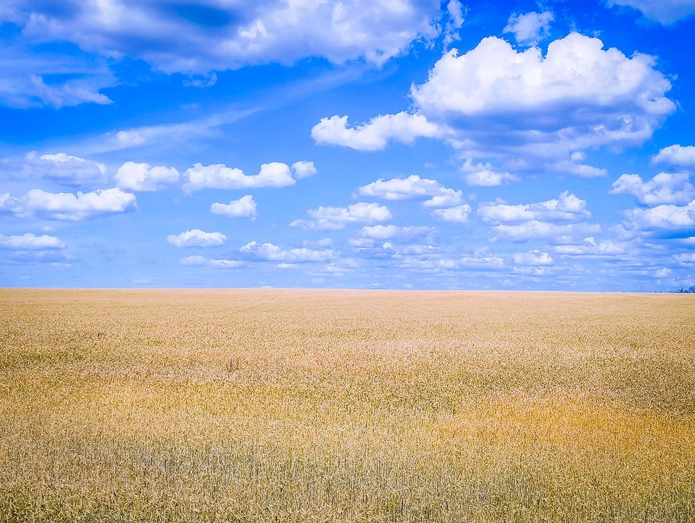 Photograph by Ольга Попченко