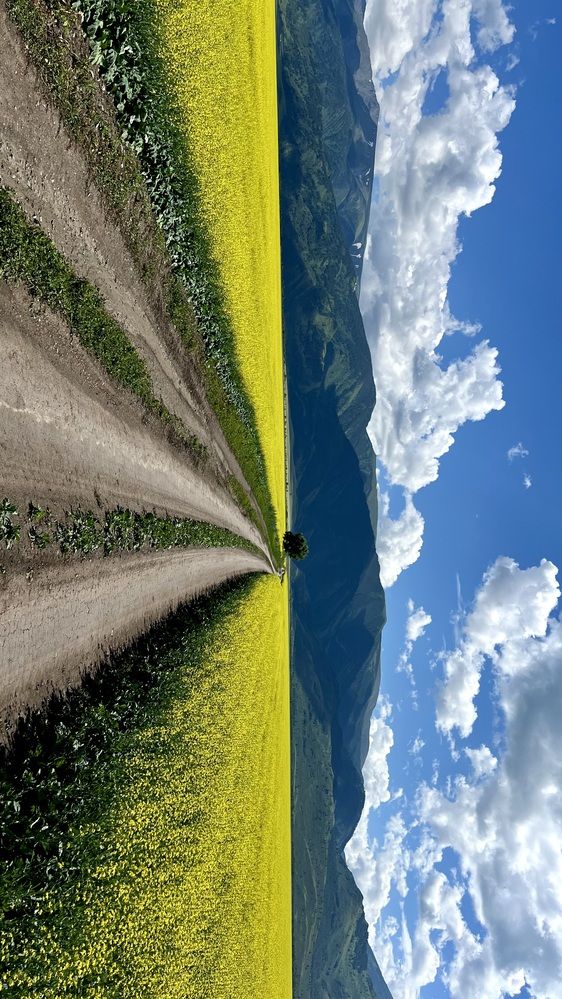 Photograph by Saule Zanginova