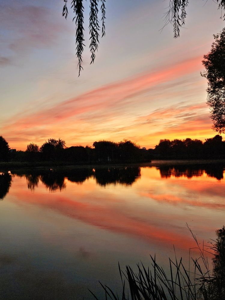 Фотография автора Elena Polonetskaya