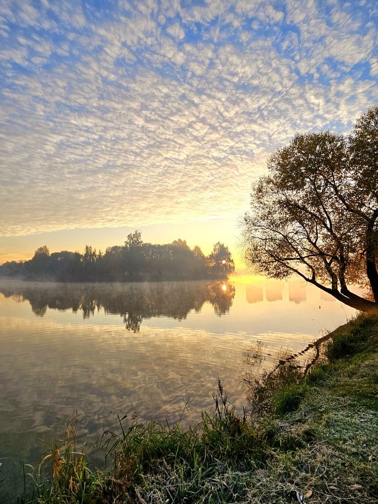 Фотография автора Elena Polonetskaya