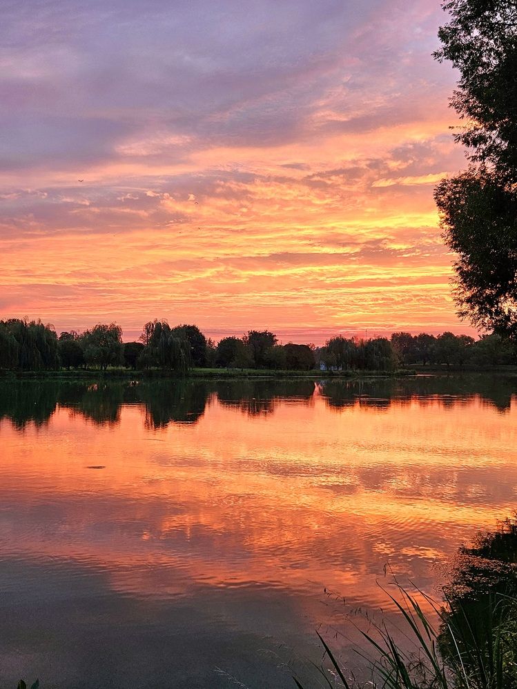 Фотография автора Elena Polonetskaya