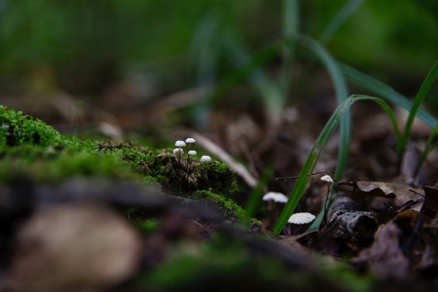 Photo #12542861