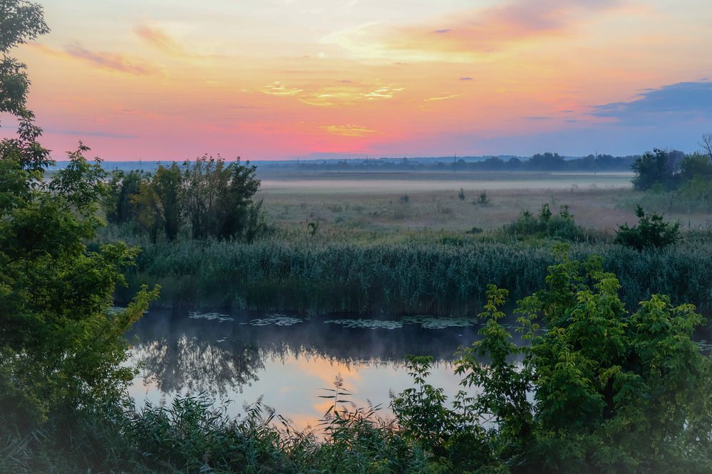 Photograph by Ольга Попченко