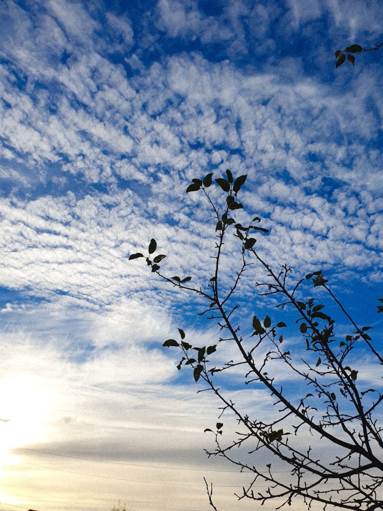 Photograph by Julia Subbotina