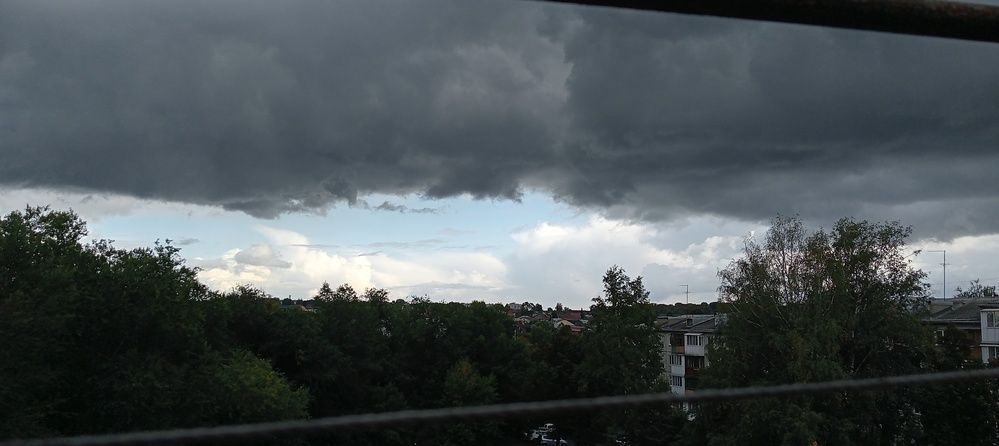 Photo #12542900